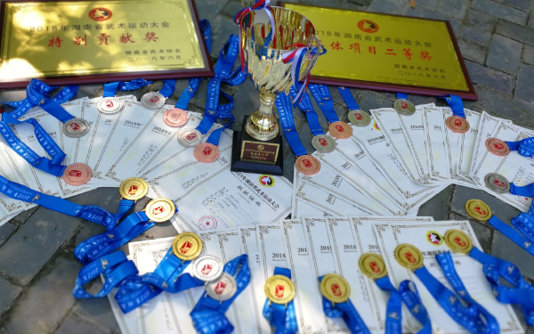 2018年“气拳道杯” 省武术大会获奖
