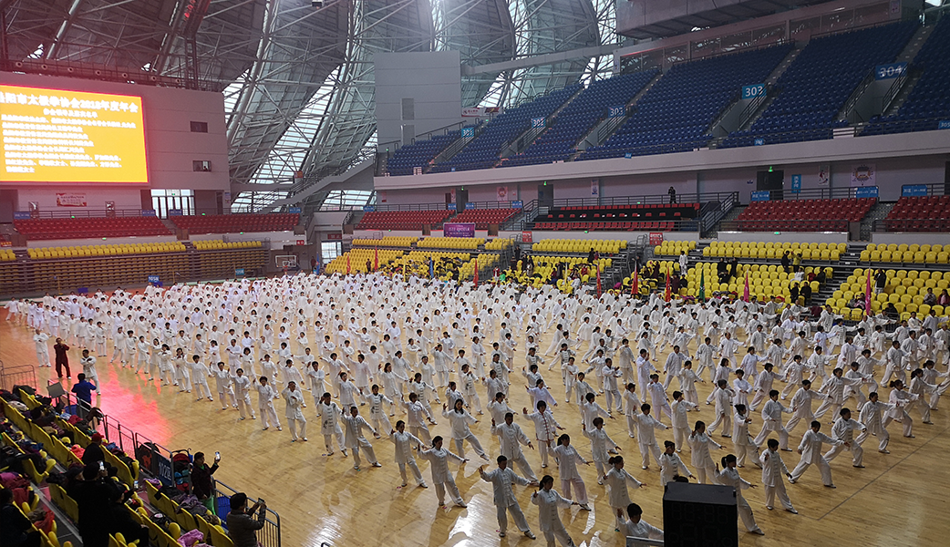 taijiquan-nianhui-2
