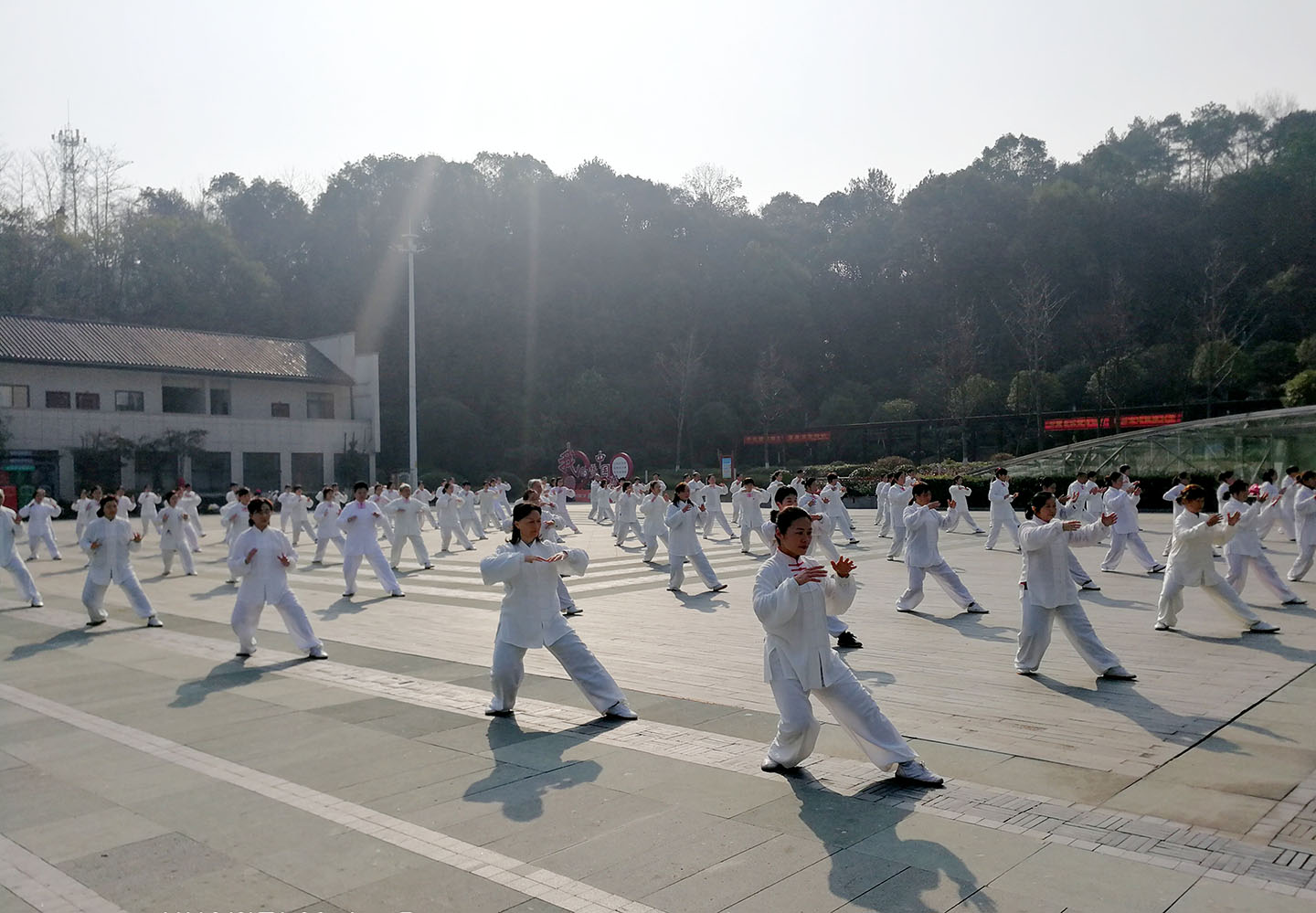 岳阳市太极拳协会