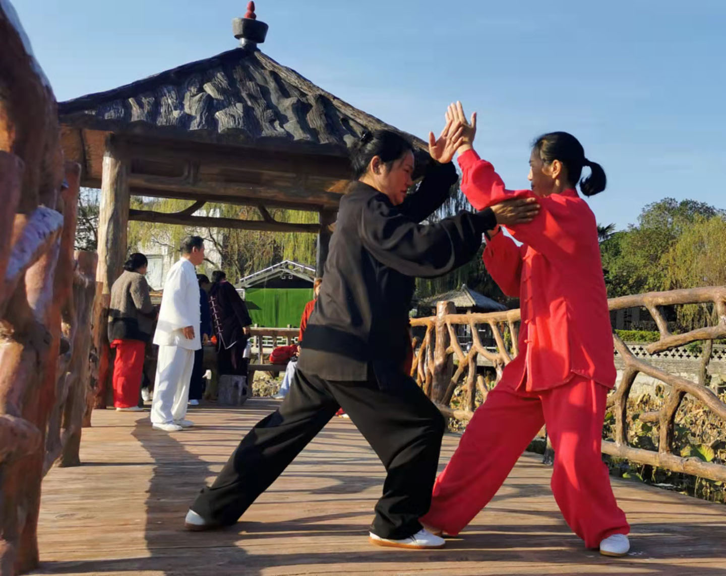 岳阳市太极拳协会