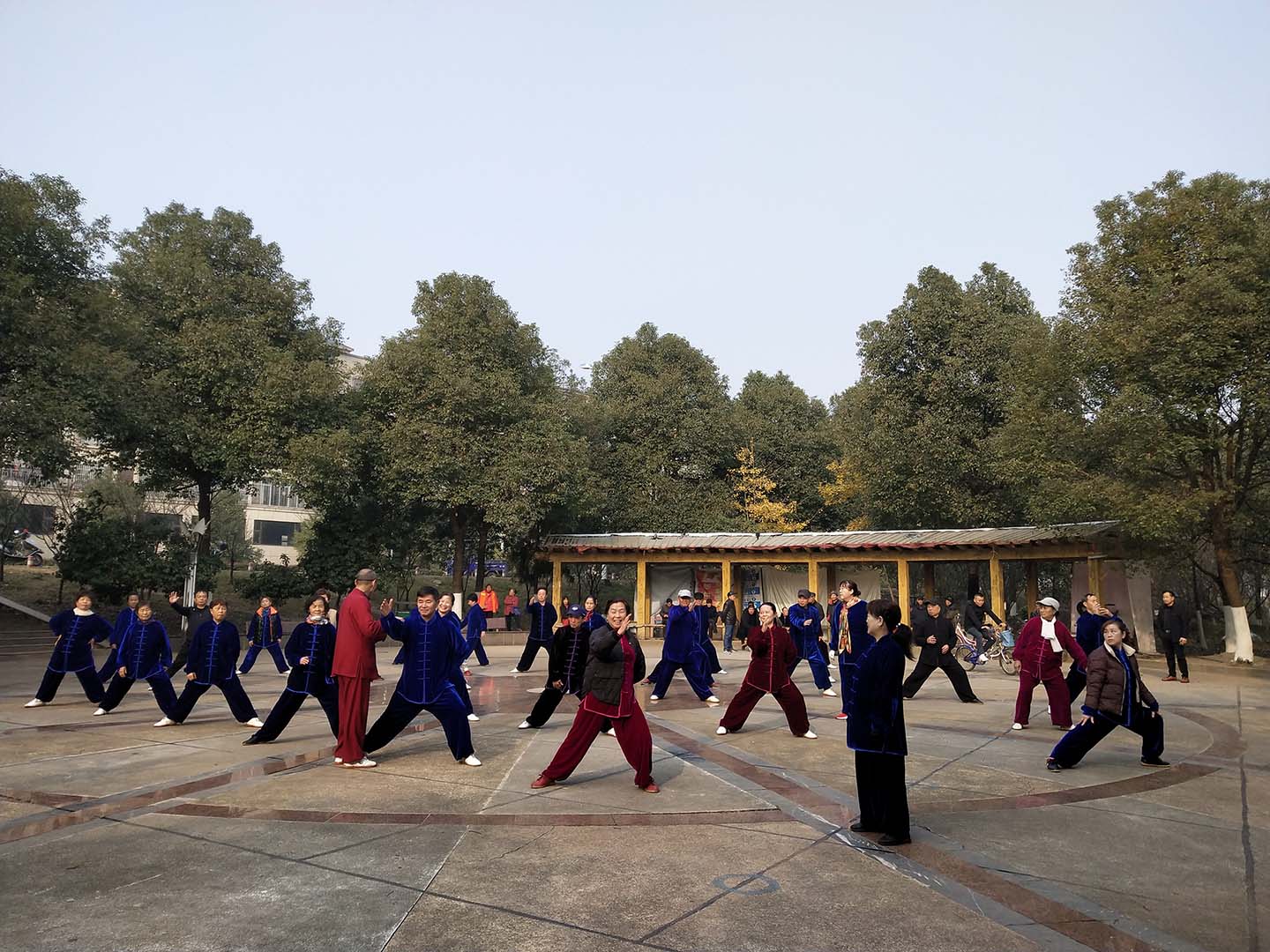 岳阳市太极拳协会