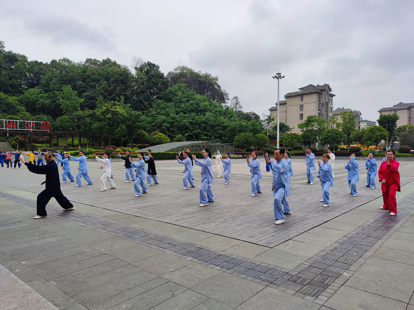 岳阳市太极拳协会