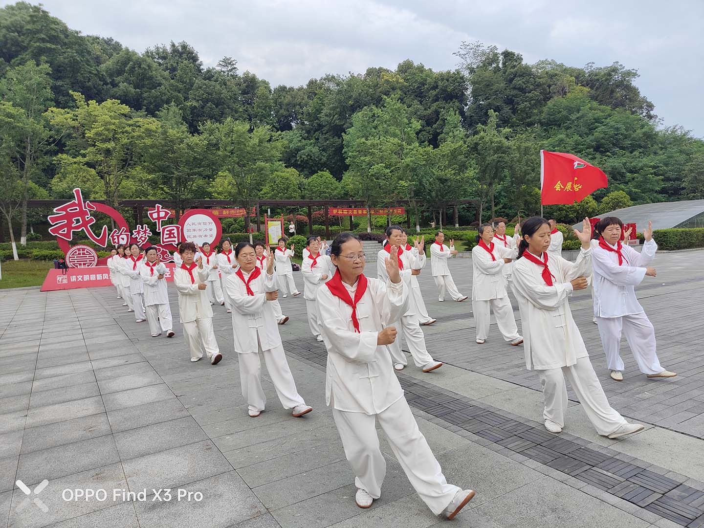 岳阳市太极拳协会
