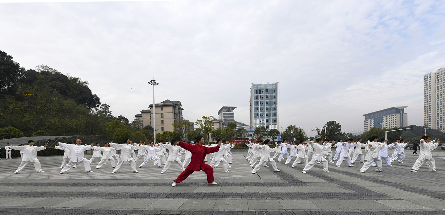 岳阳市太极拳协会