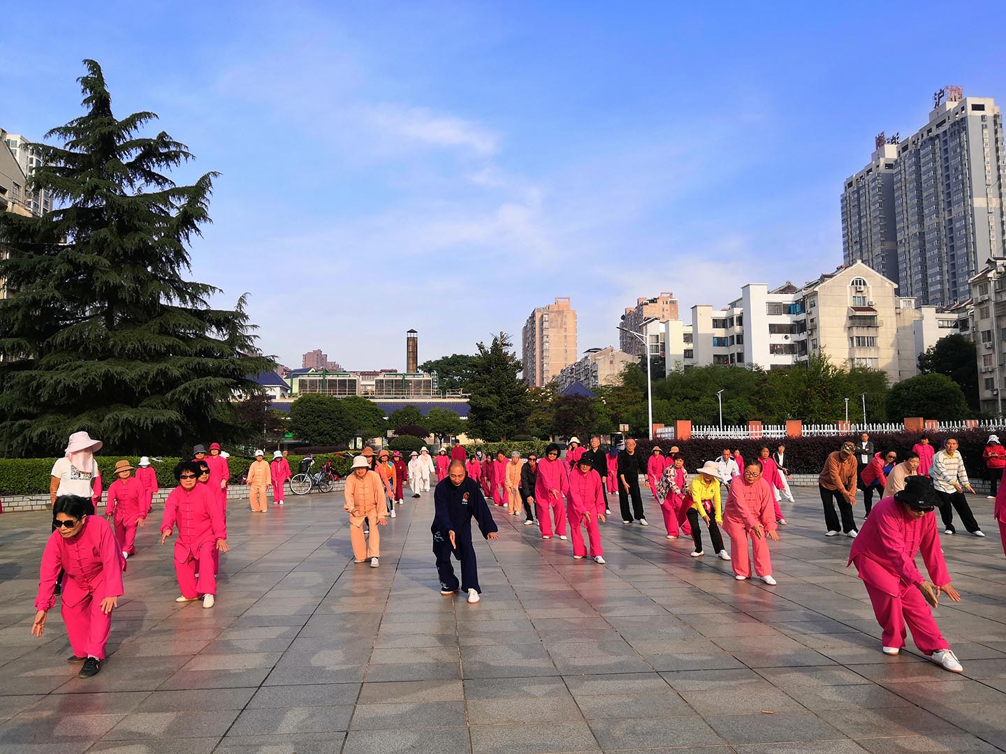 岳阳市太极拳协会