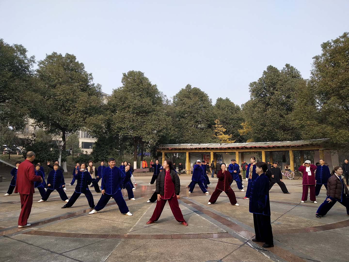 岳阳市太极拳协会