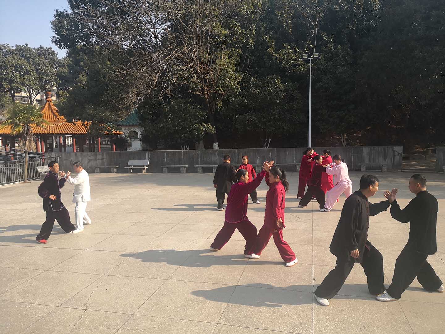 岳阳市太极拳协会