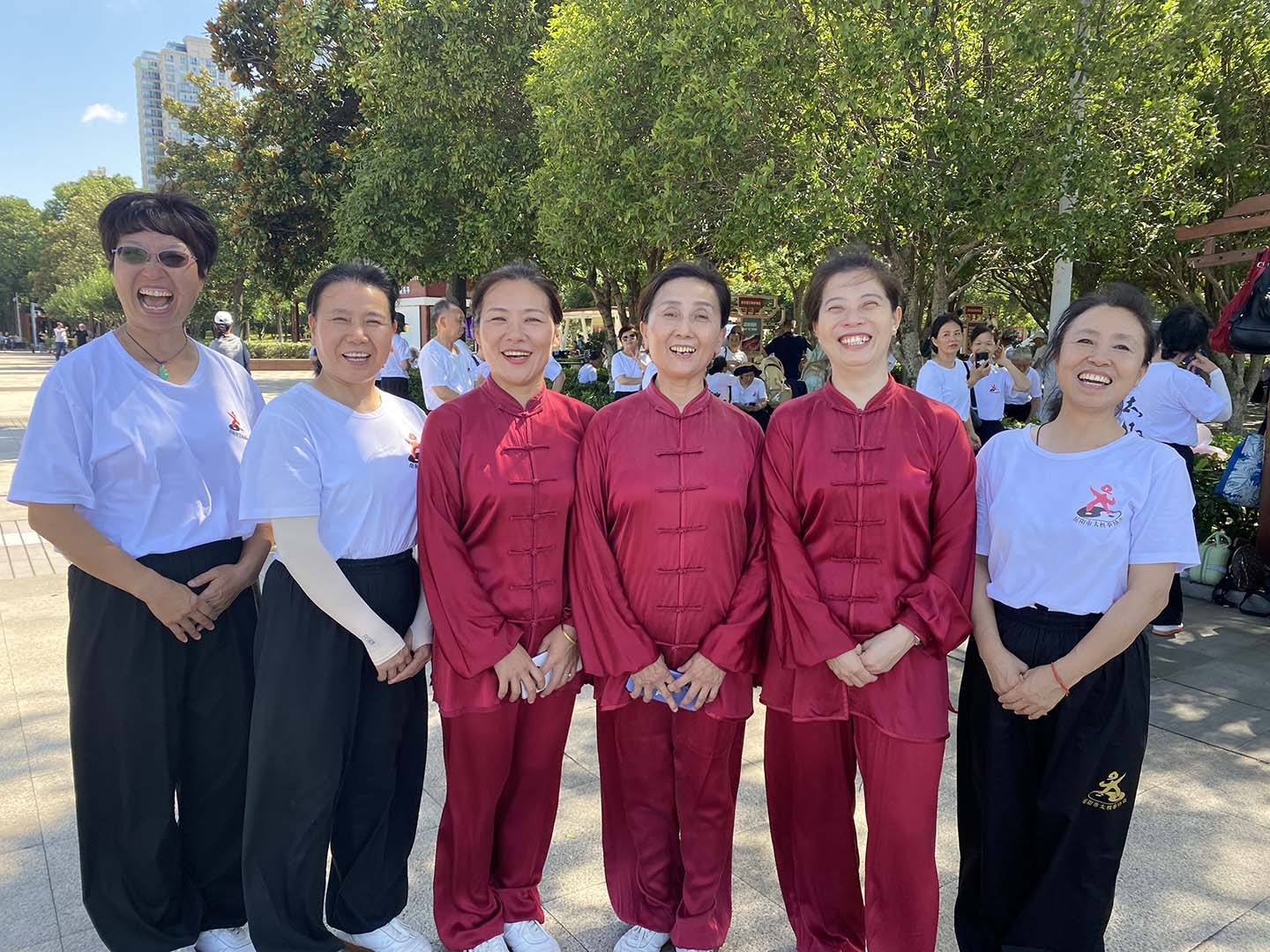 岳阳市太极拳协会