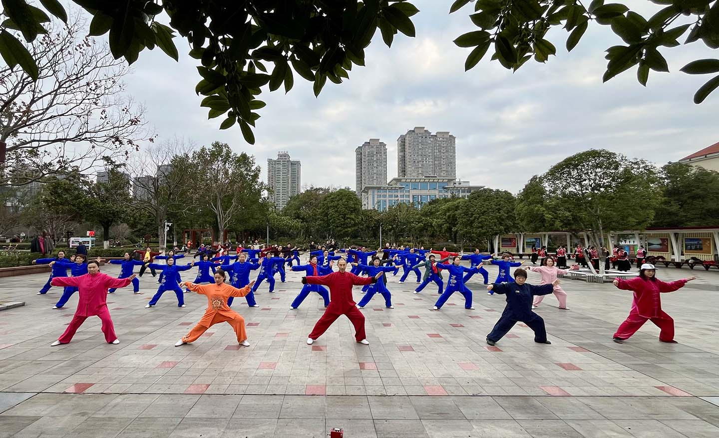 岳阳市太极拳协会