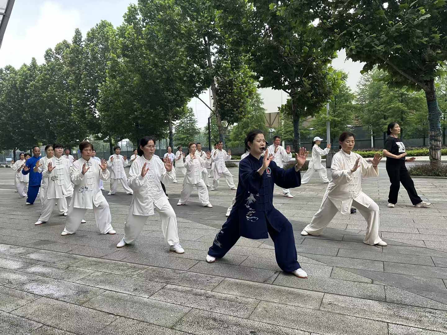 岳阳市太极拳协会