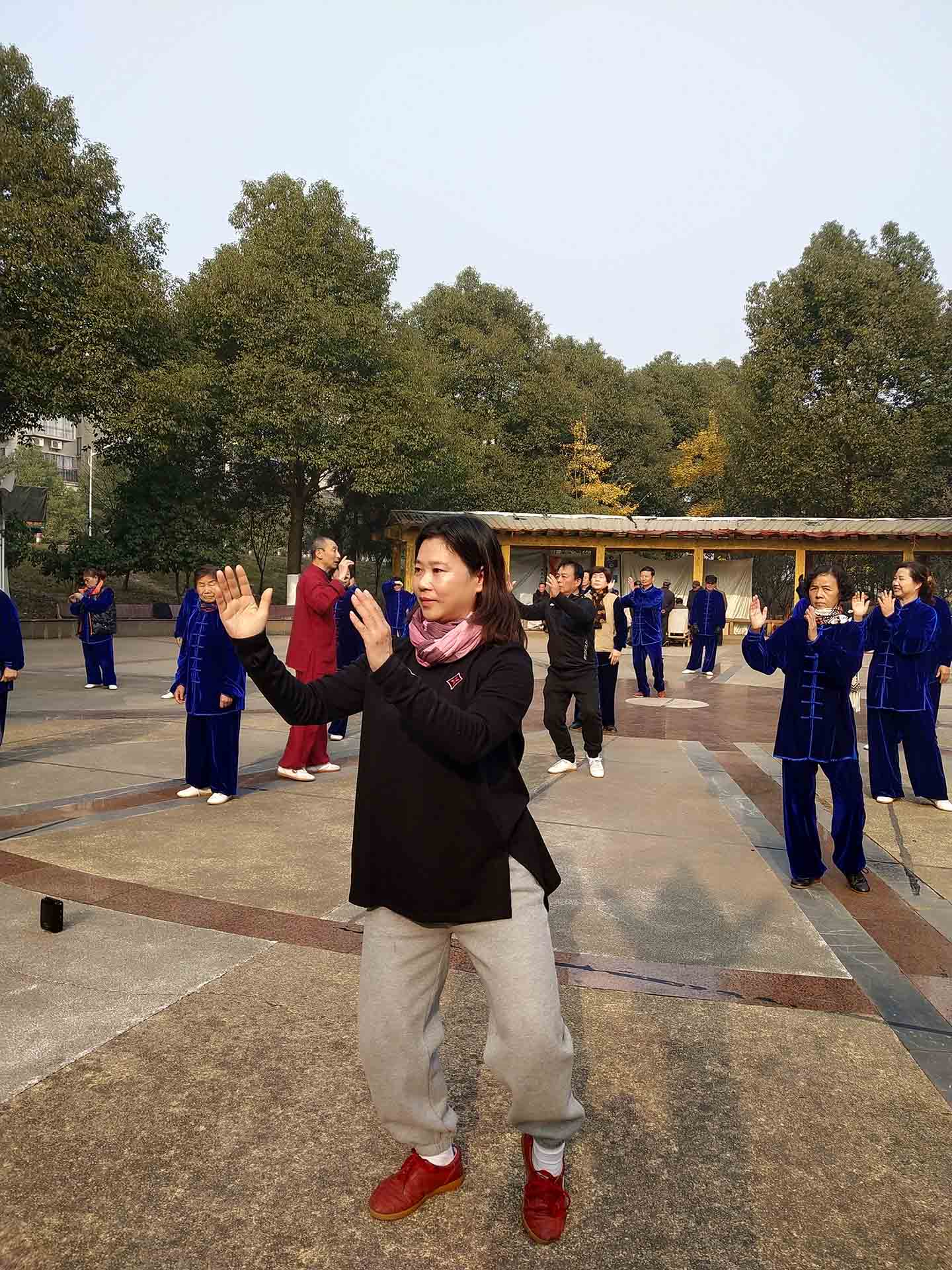 岳阳市太极拳协会