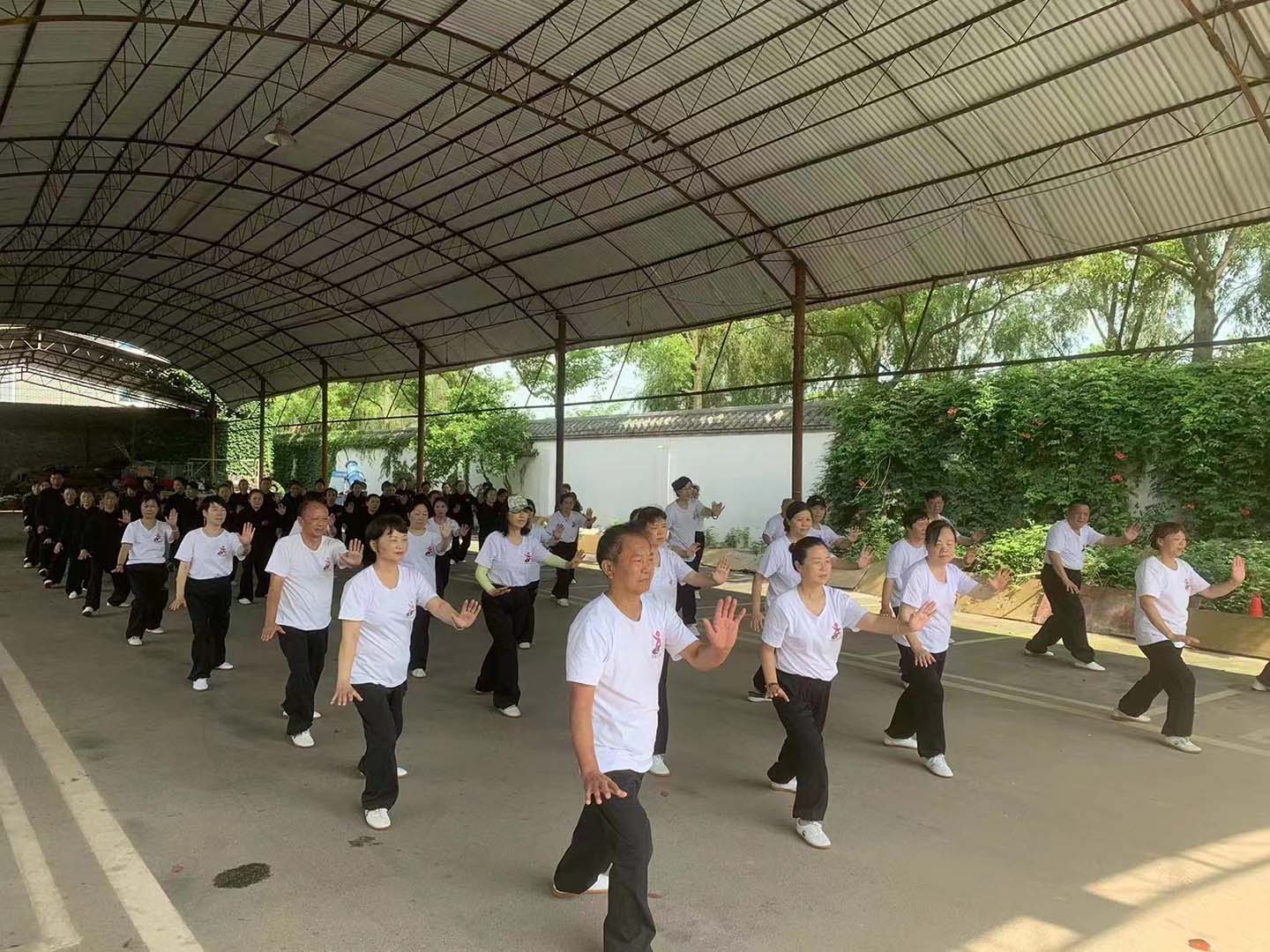 岳阳市太极拳协会