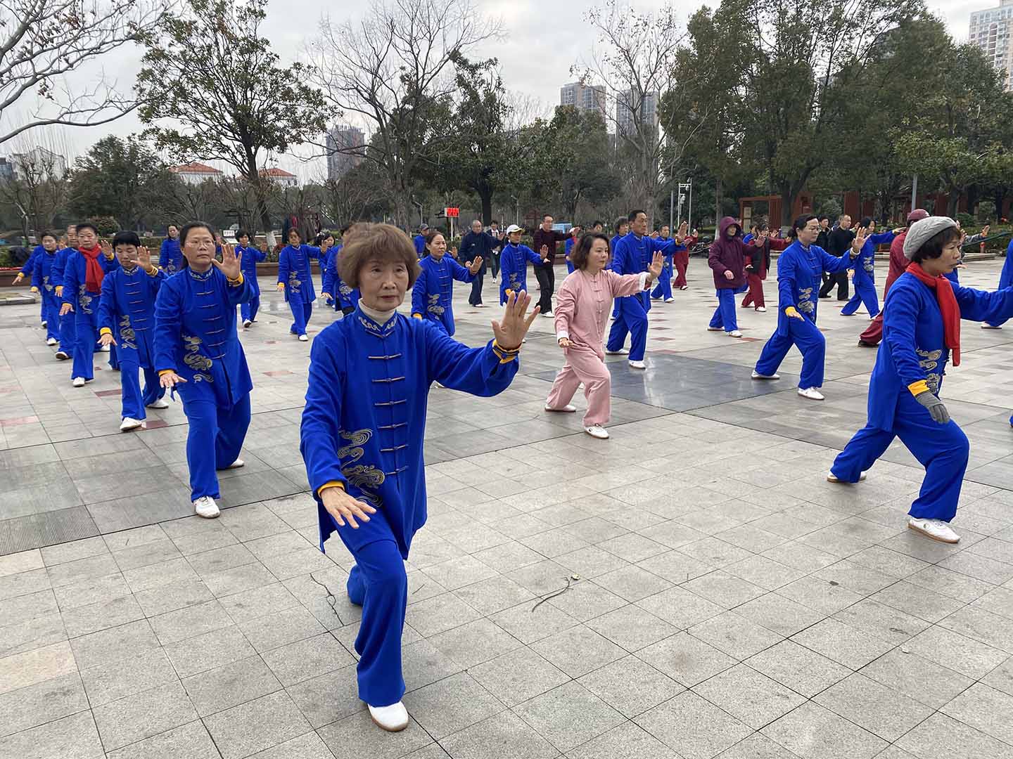 岳阳市太极拳协会