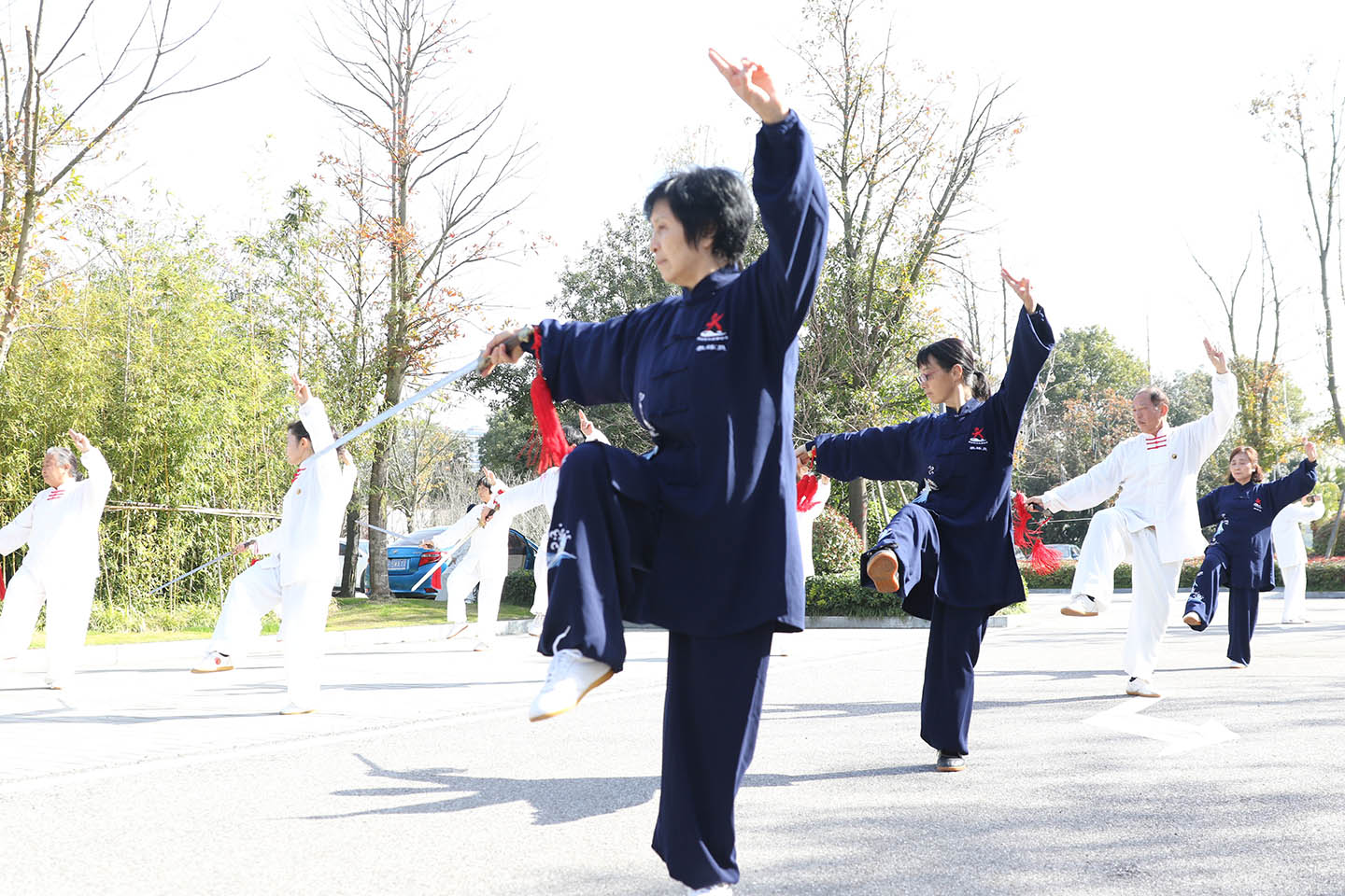 太极拳太极拳协会