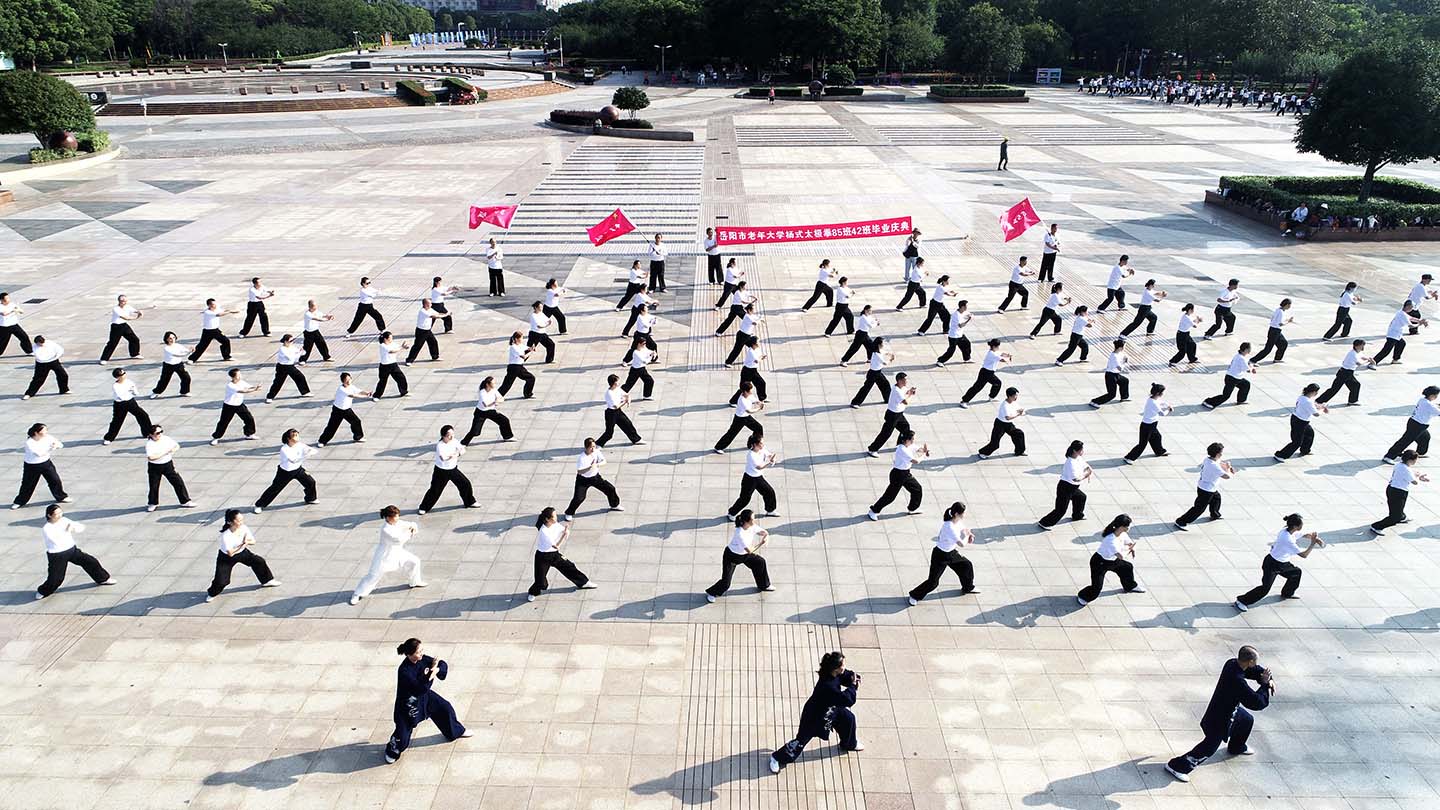 岳阳市太极拳协会
