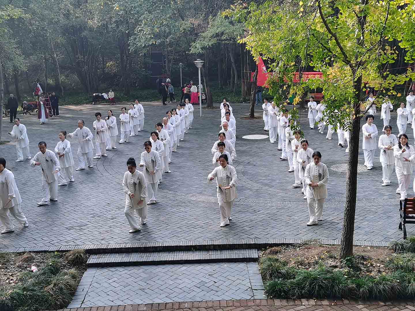 岳阳市太极拳协会