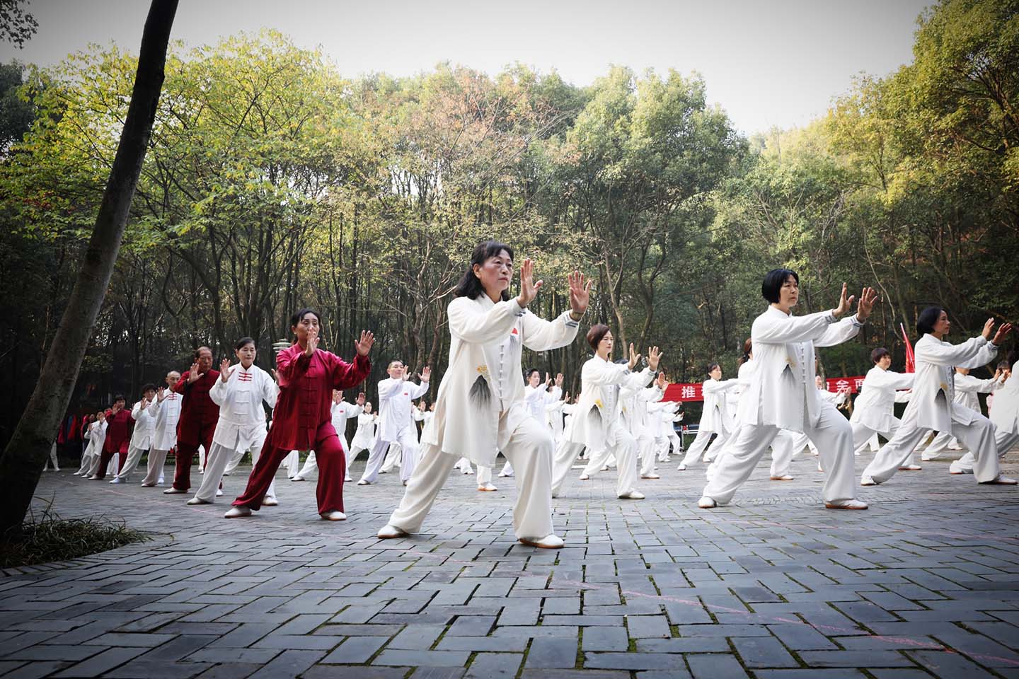 岳阳市太极拳协会