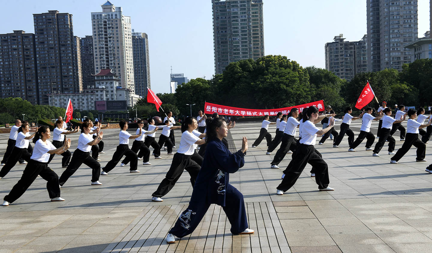 岳阳市太极拳协会