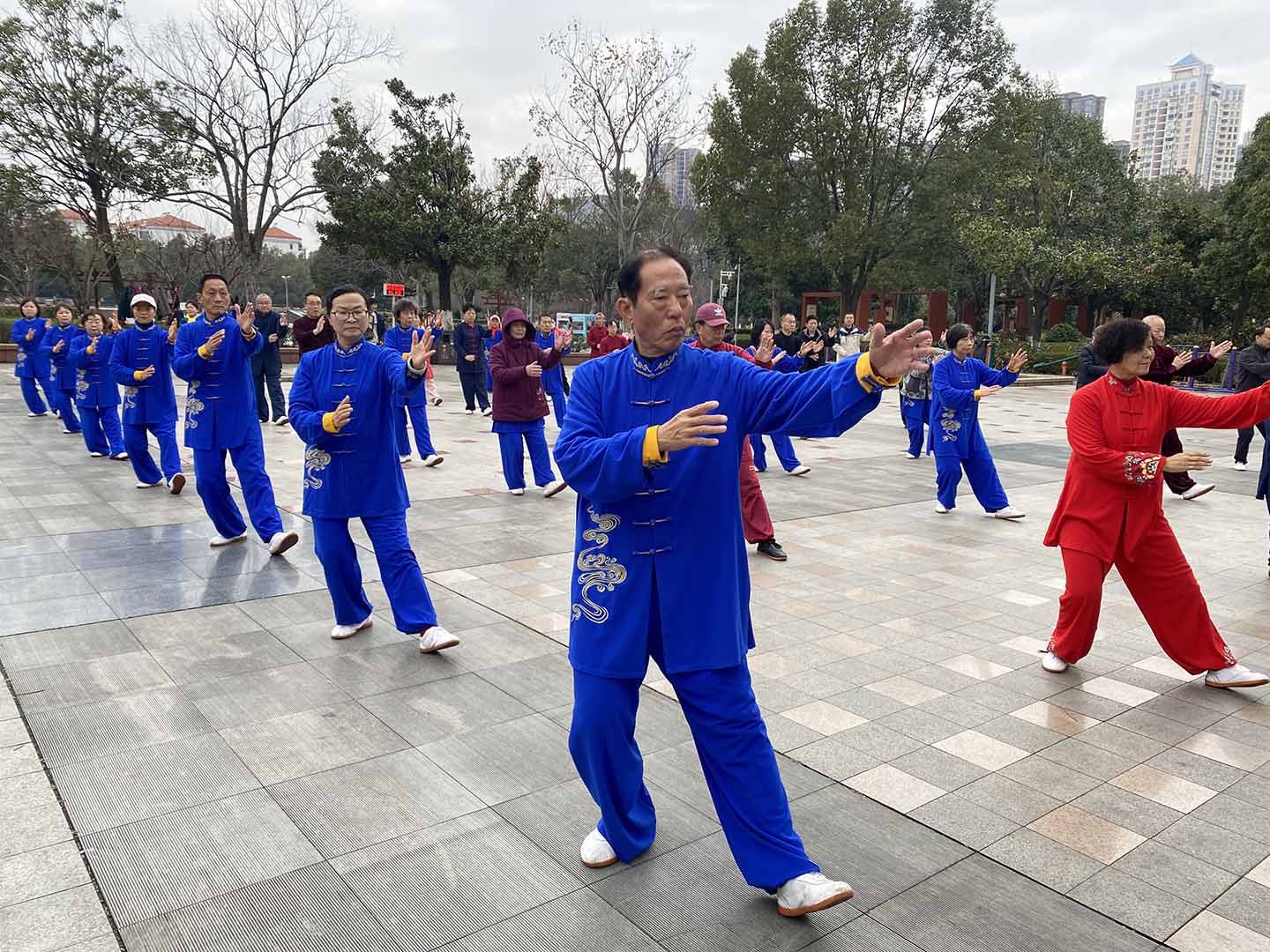 岳阳市太极拳协会