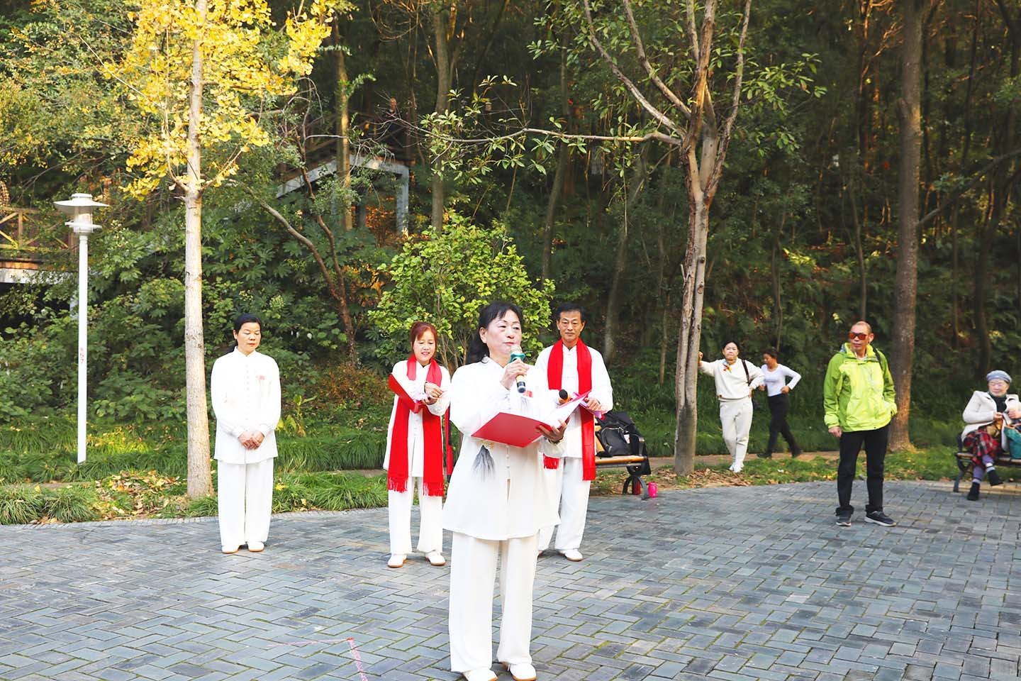 岳阳市太极拳协会