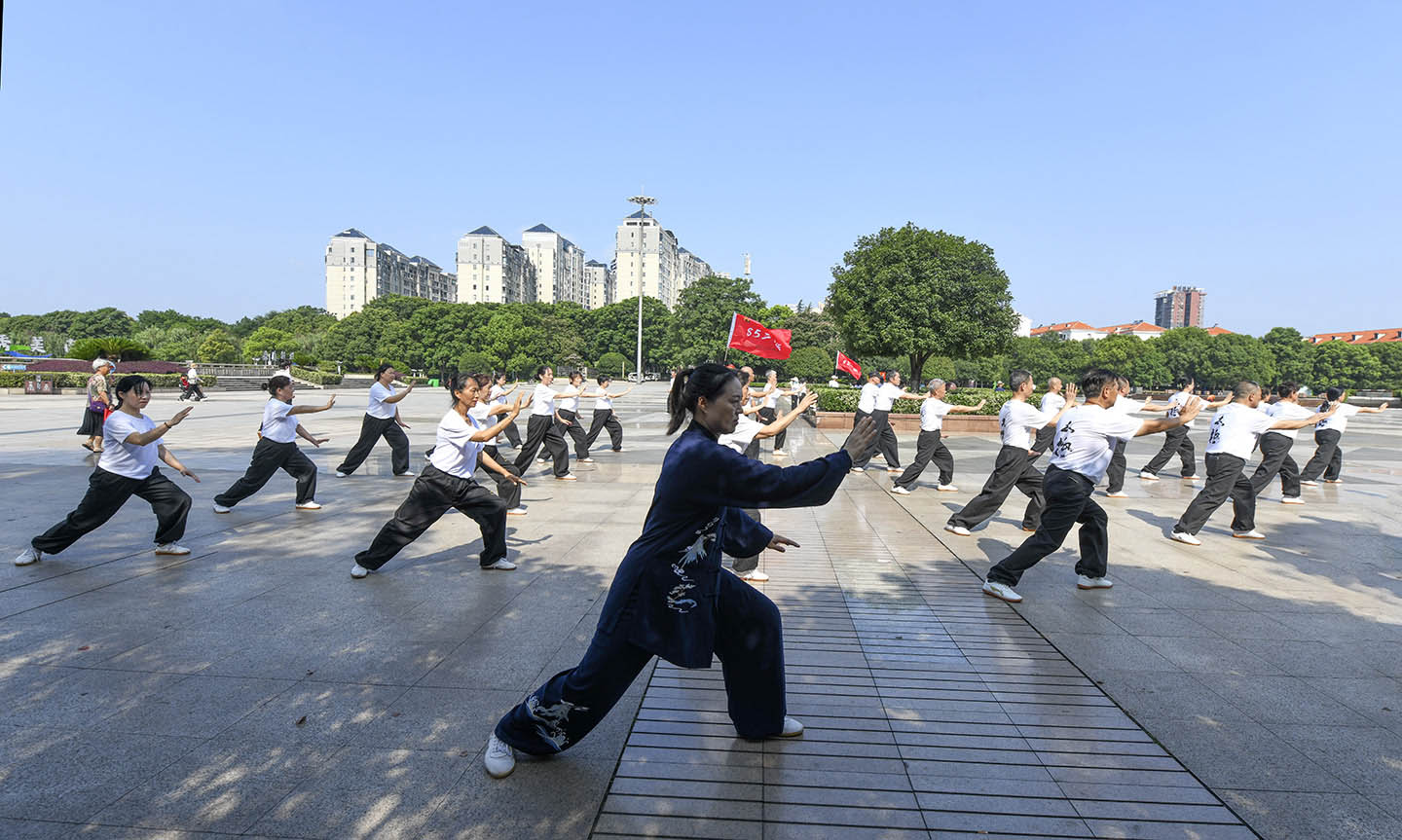 岳阳市太极拳协会