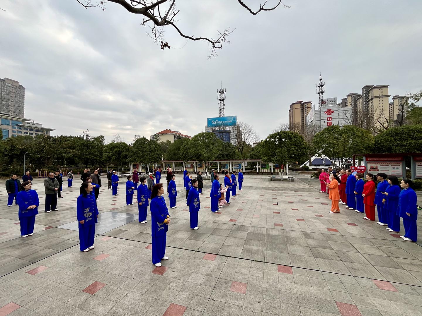 岳阳市太极拳协会