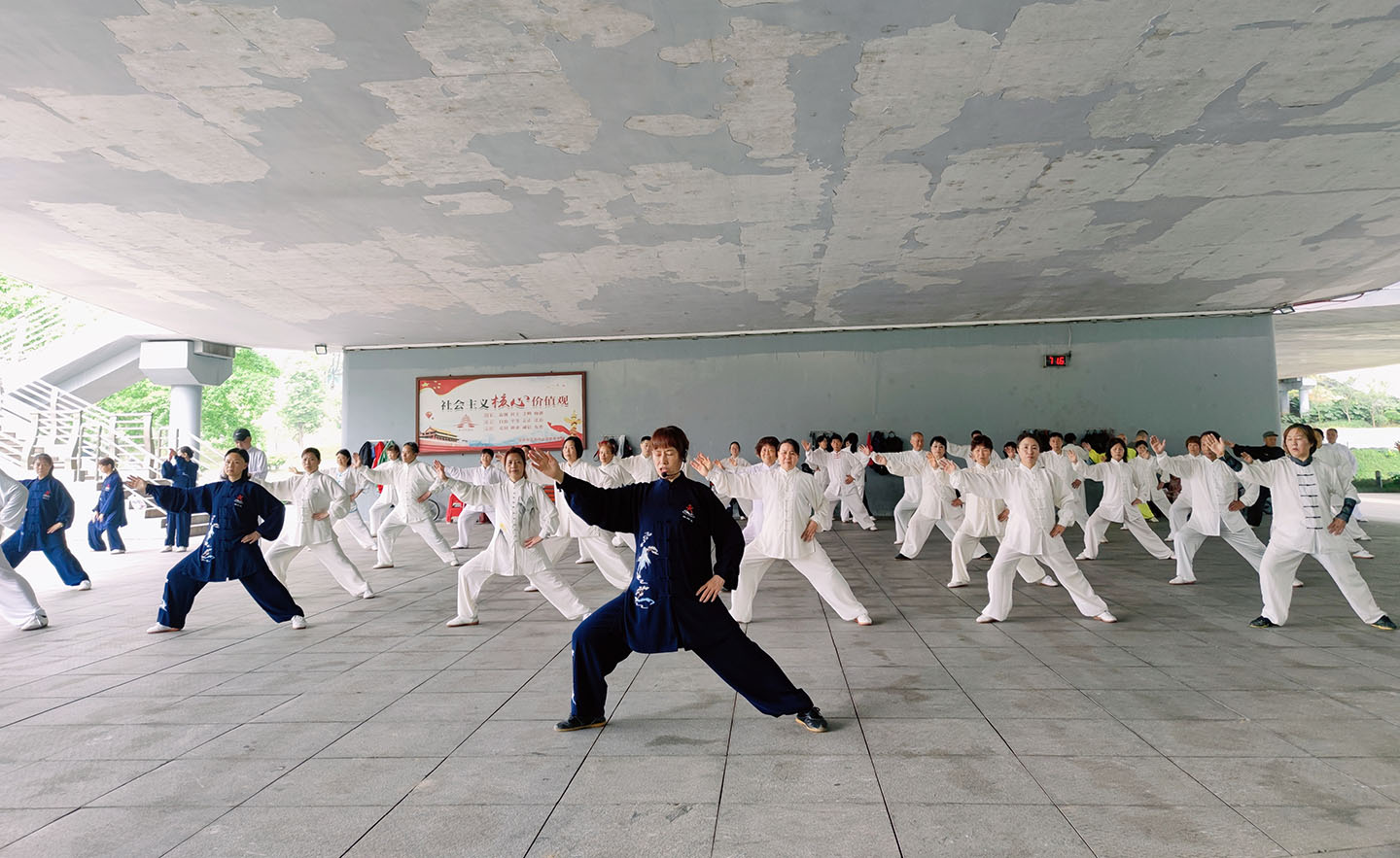 岳阳市太极拳协会