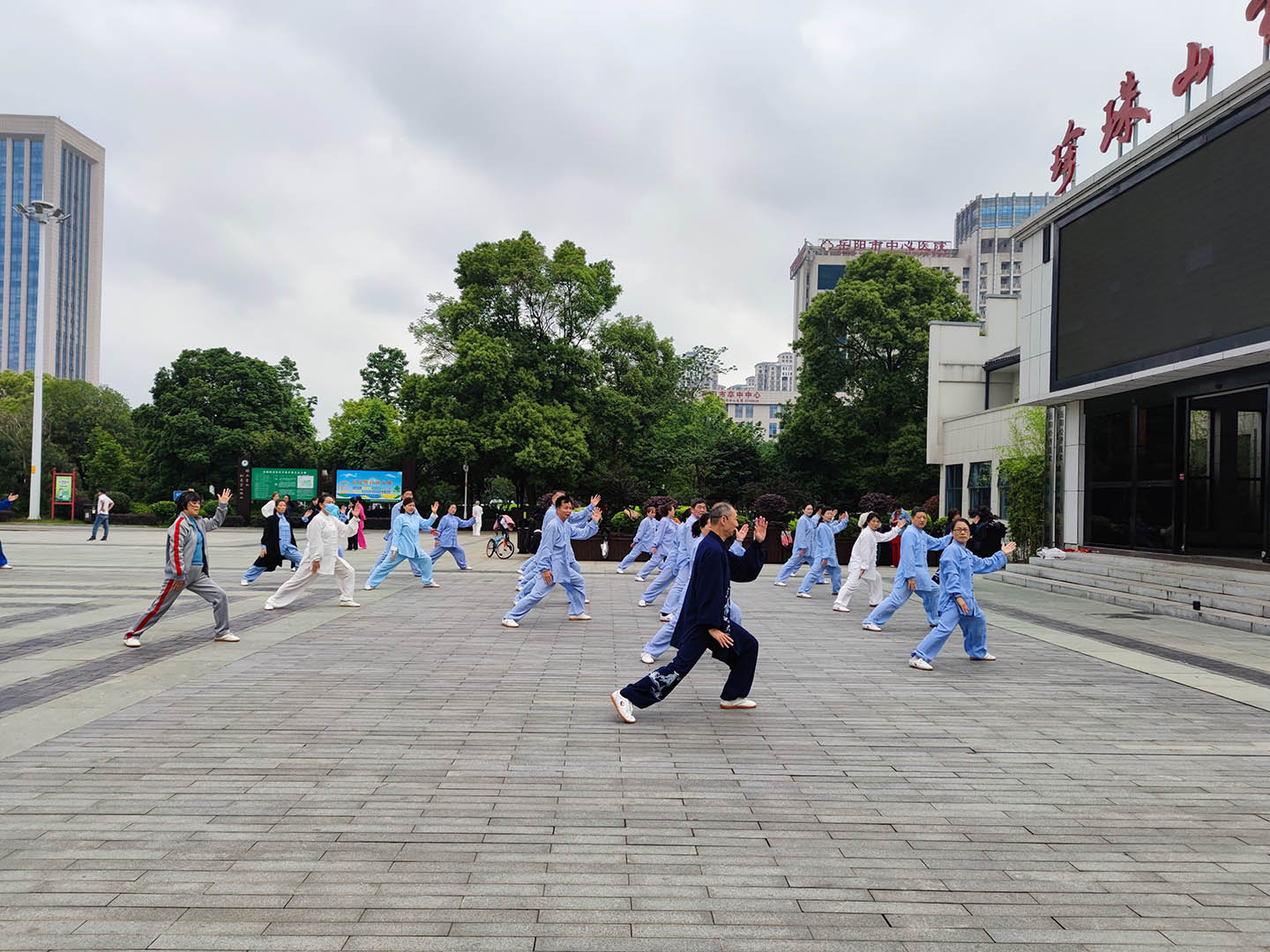岳阳市太极拳协会