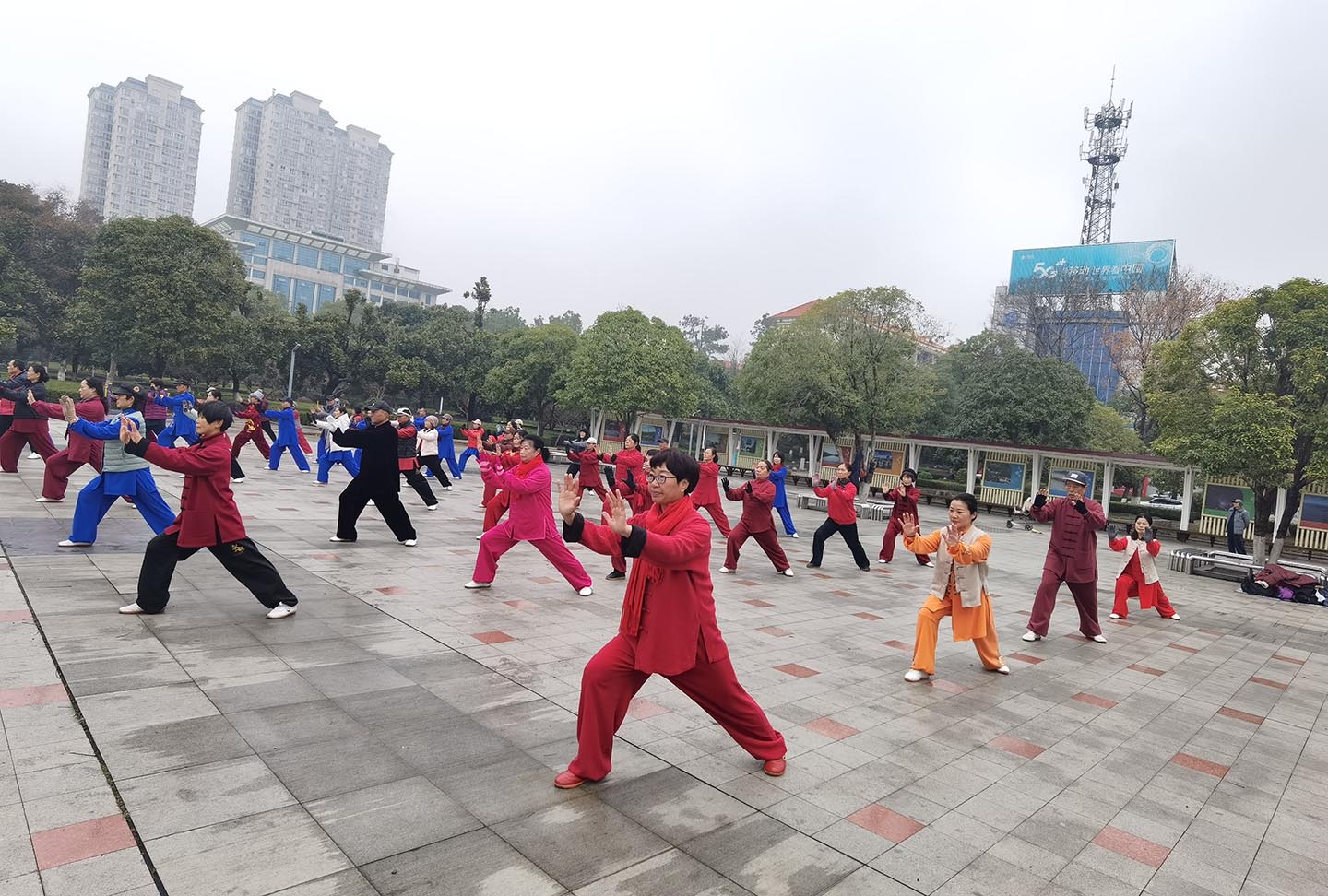 岳阳市太极拳协会
