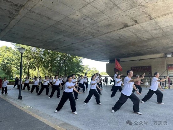 一群人和一窝狗
