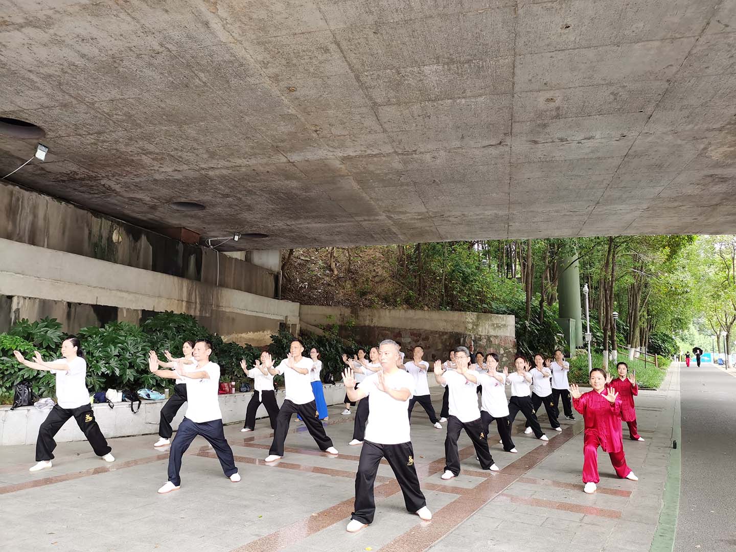岳阳市太极拳协会