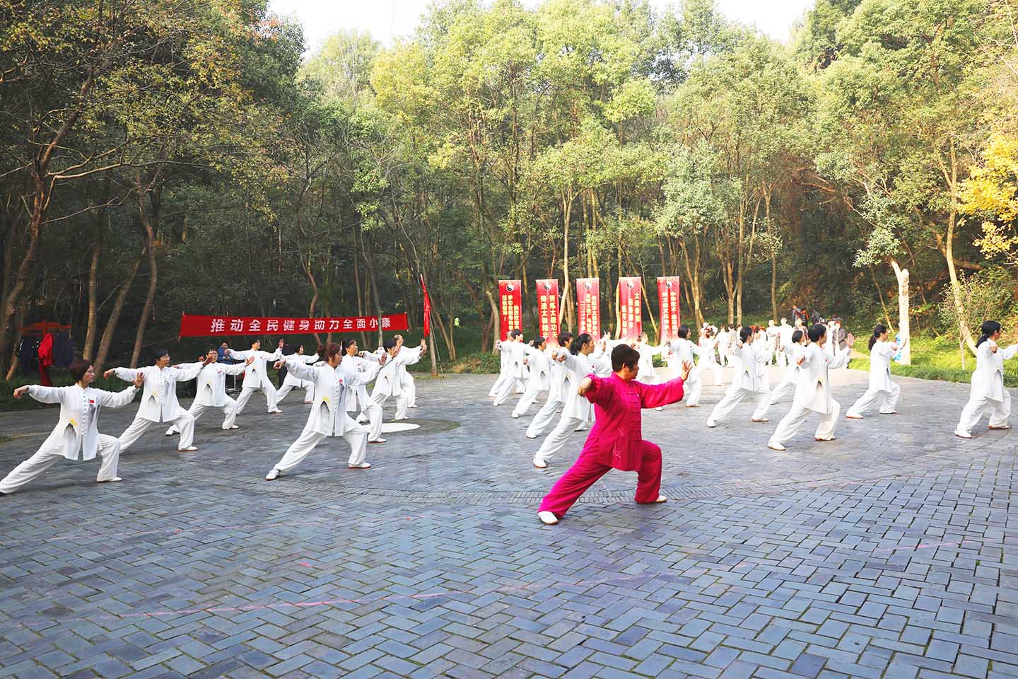 岳阳市太极拳协会