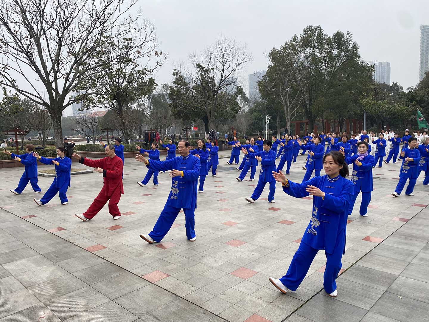 岳阳市太极拳协会