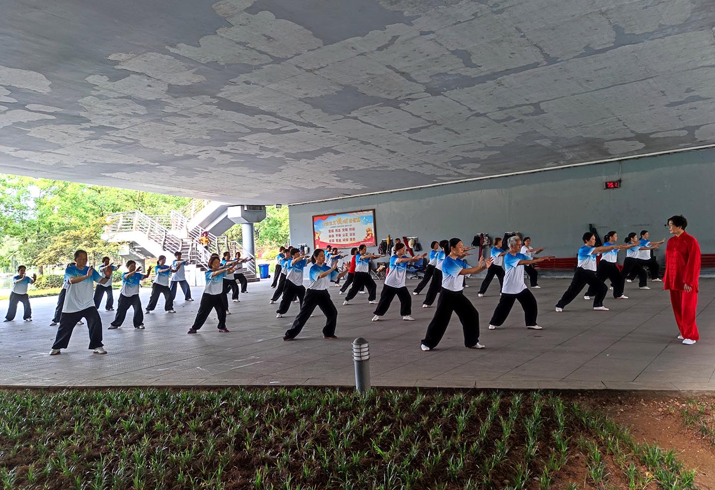 岳阳市太极拳协会